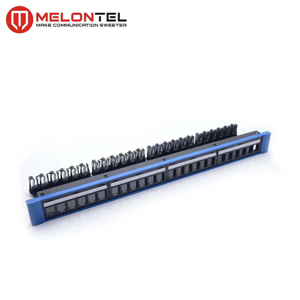 19 Inch Plastic 24 Port Blank Patch Panel with Cable Manager