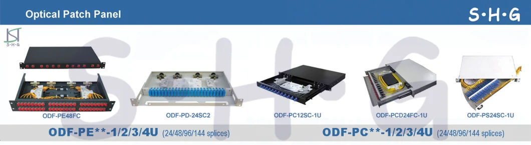 Factory Price 24 Ports/Adapter/Splice Rack Mount Fiber Optic Patch Panel