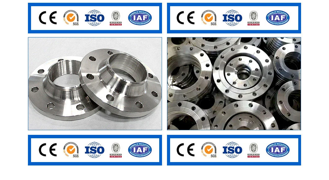 Nickel Alloy Steel Alloy 600 1&prime;&prime; No6600 300lbs Welding Neck Flange ASME B16.5 Weld Neck Flat Face Flange