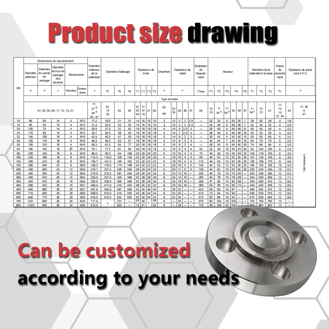 Stainless Steel Sanitary GOST DIN Ferrule Flange for Plant Projects Use