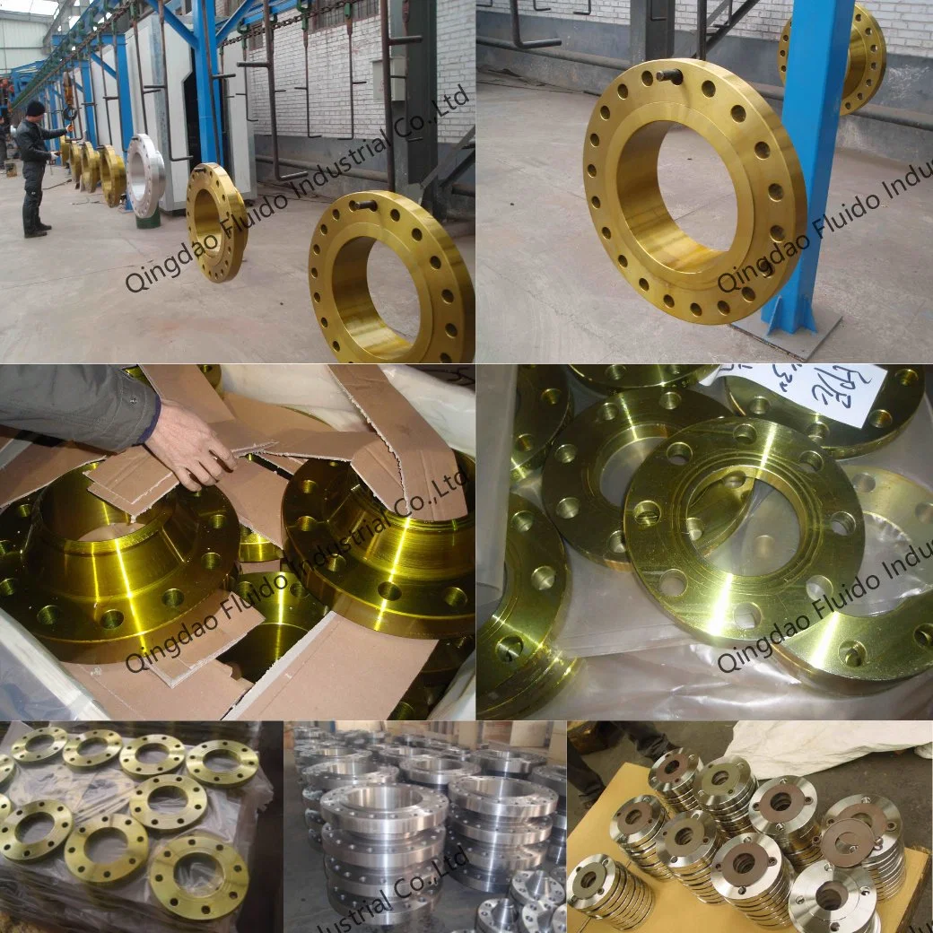 Stainless Steel/Carbon Steel Water Pipe Flange According to ASME ANSI B16.5 DIN En1092-2 GOST Standard Blind /Slip on/Weld Neck Flange Manufacturer