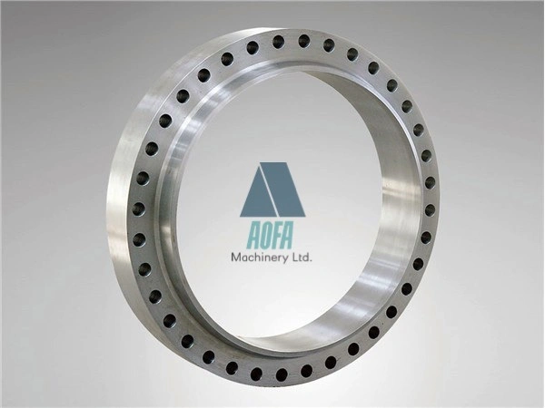 Customized Carbon Steel A105/Rst37.2/C22.8/Q235 Stainless Steel Flanges Stainless Steel Weld Neck Flange