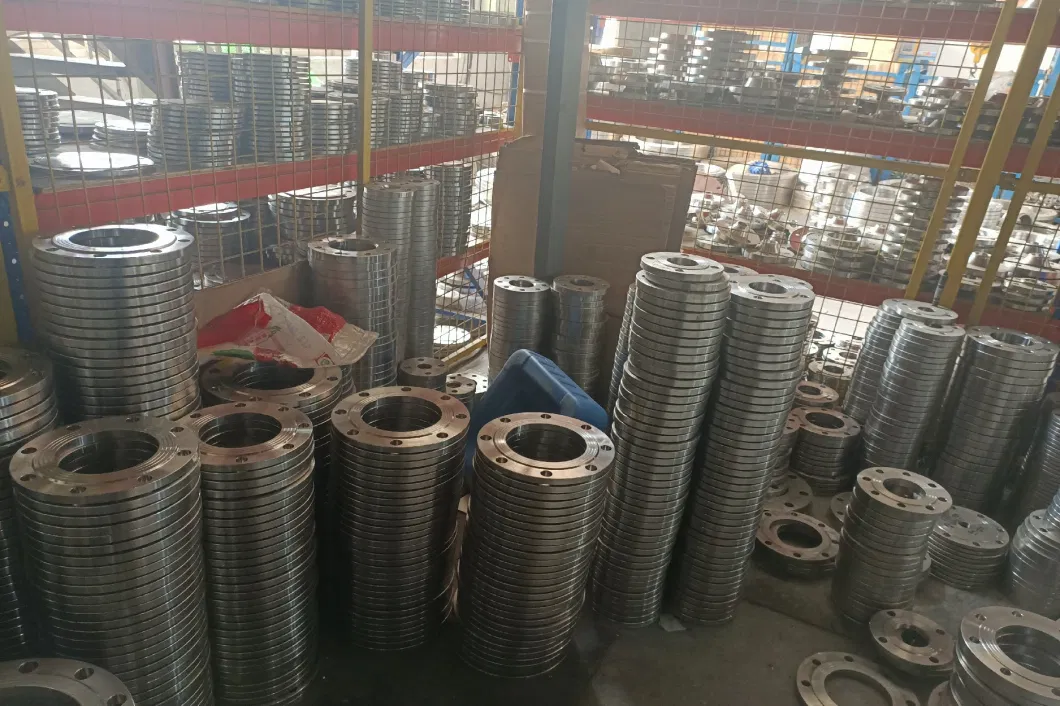 ASTM/En1092/JIS F304 Stainless Steel Plate Flange