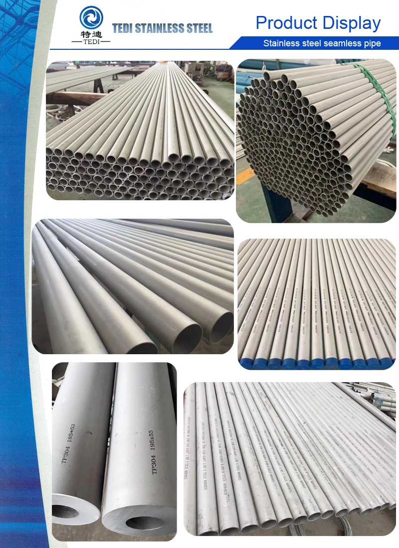 Fixed Length Seamless Stainless Steel SS304 304L 310S Seamless Pipe/Tube