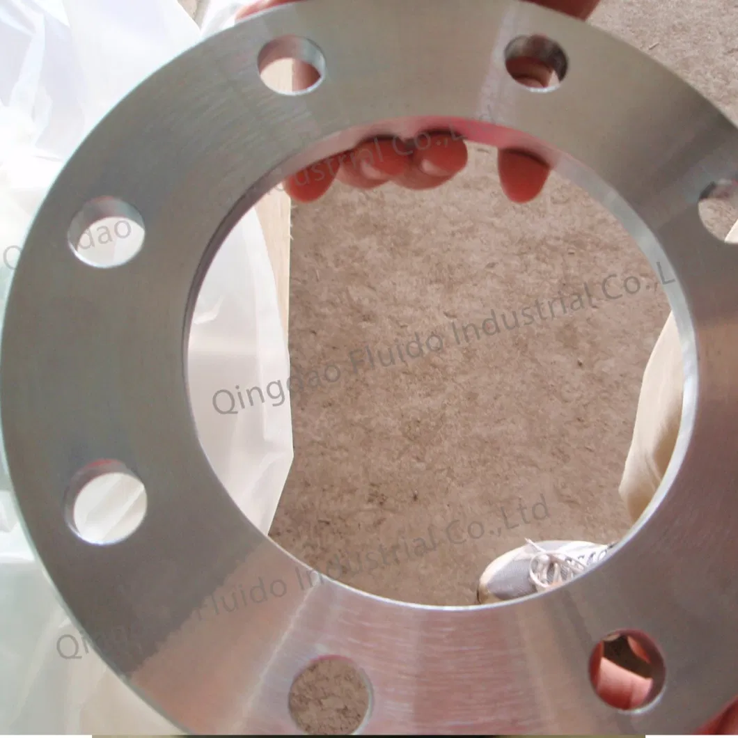 Forged Stainless Steel 304 316L Plate Flange with FF Flat Face