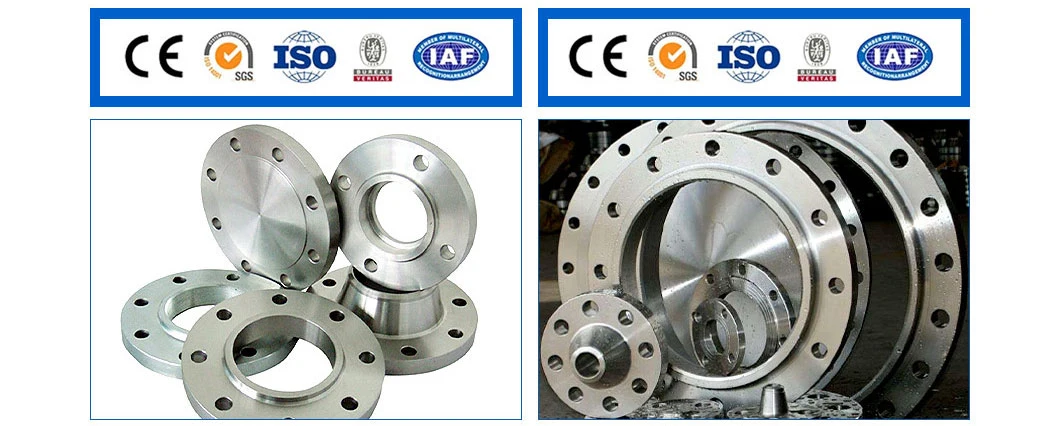 Nickel Alloy Steel Alloy 600 1&prime;&prime; No6600 300lbs Welding Neck Flange ASME B16.5 Weld Neck Flat Face Flange