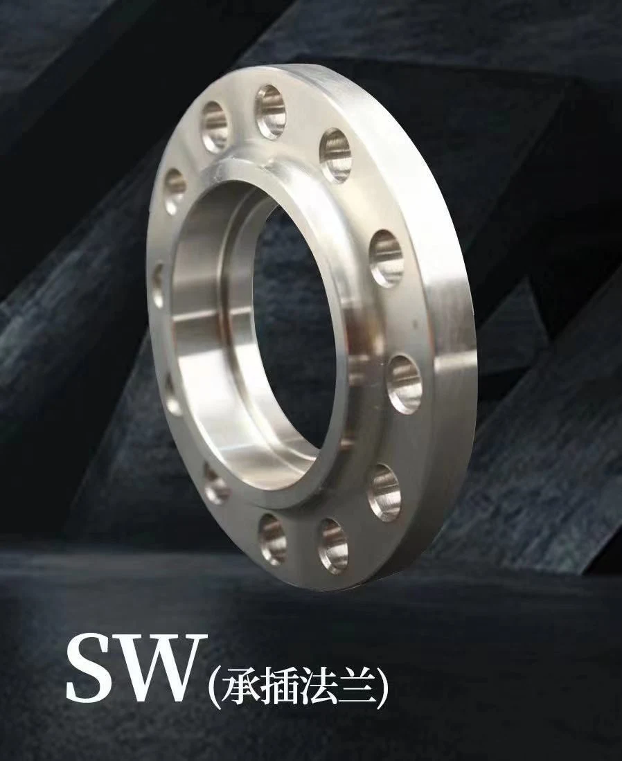 Forged Carbon Stainless Steel Sch40 Std DIN/BS/Js/GOST Thread RF FF Pipe Flanges