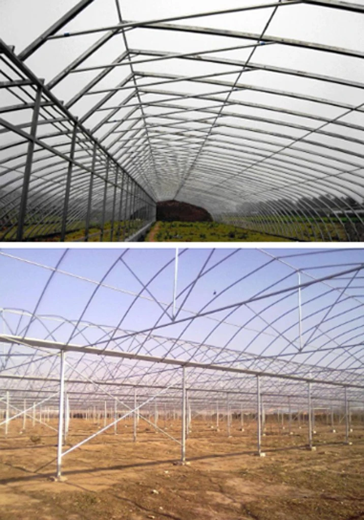 Galvanized Structural Steel Scaffold Galvanize Tube and Pipe for Greenhouse