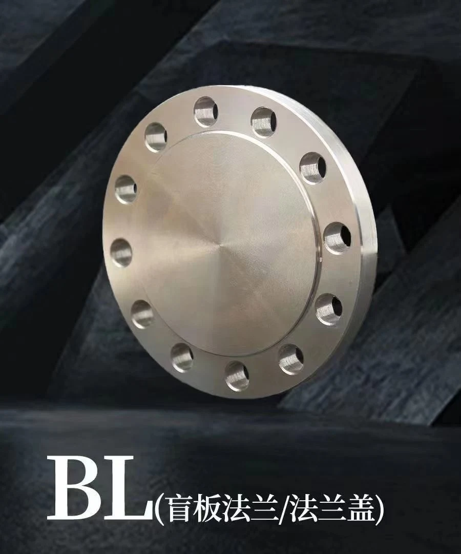 Forged ASME B16.5 ASTM A182 F304 F304L Stainless Steel Wn Flange