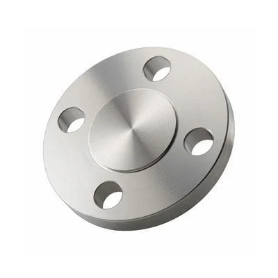 ANSI GOST Forged Stainless Steel Blind Bld Flange