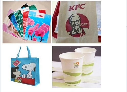 Good Quality Two Color Paper Cup Plastic T-Shirt Bag Flexographic Printing Machine Press