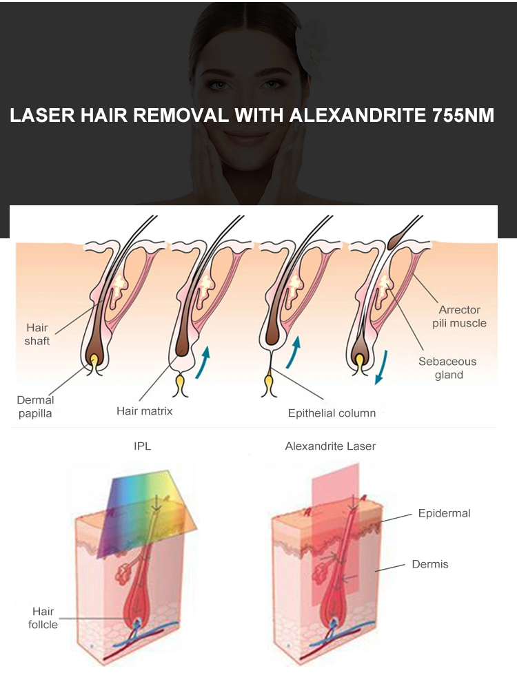 Alexandrite Lase Cooling Fiber Conducted Laser 755nm Alexandrite 1064nm ND YAG with for Permanent Hair Removal Laser Machine