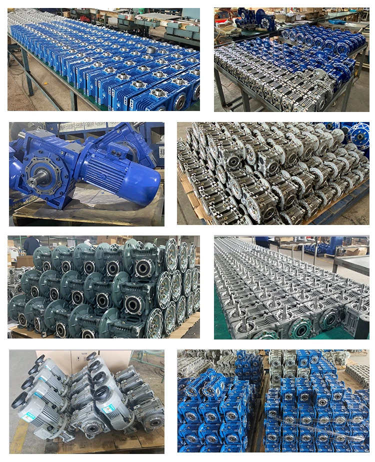 Custom High Quality China Speed Reducer for Electric Motor