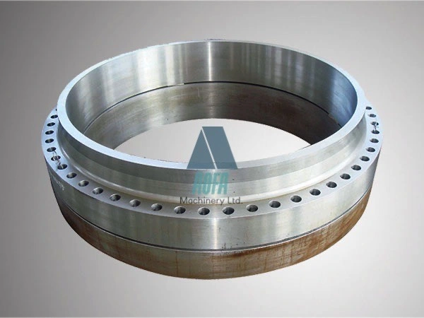 OEM Large-Diameter ANSI A105/Rst37.2/C22.8/Q235 Stainless Steel RF FF Wn Welding Neck Flange