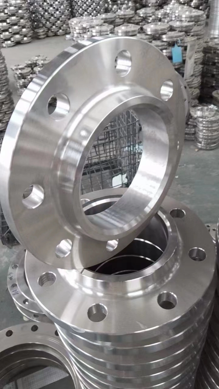 Customized Forged Stainless Steel Flange