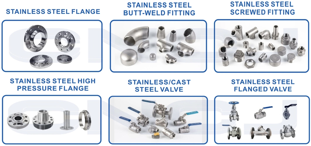 SUS304 316 Stainless Steel Butt-Weld Fittings Bw Lr Long Radius 90 Degree Sch10 Sch40 Seamless Ss Elbow