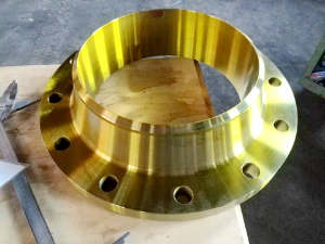 Forged Steel Pipe Flanges