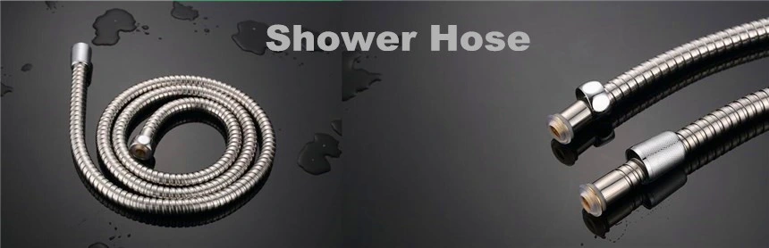 Hy024shower Head Shower Room Sanitary Ware Bathroom Fittings