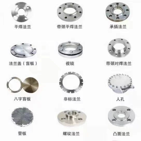 Customized Forged Stainless Steel Flange