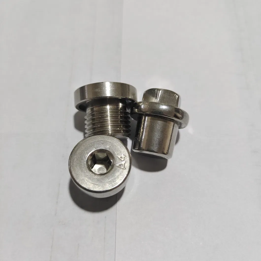 Stainless Steel Oil Plug, Hexagon Socket Plug, Automobile Hardware, Stainless Steel Solid Nut