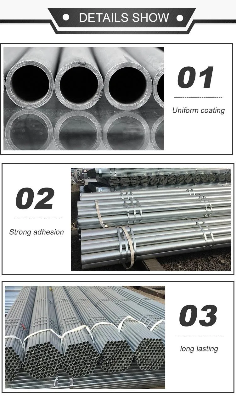 ASTM A53 S275 Pre Galvanized Steel Pipe