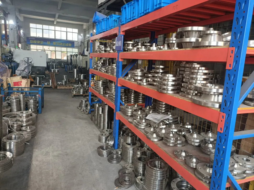 ANSI GOST Forged Stainless Steel Blind Bld Flange