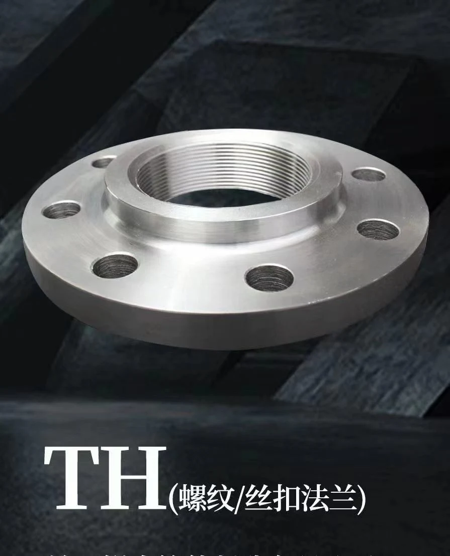 Forged Carbon Stainless Steel Sch40 Std DIN/BS/Js/GOST Thread RF FF Pipe Flanges