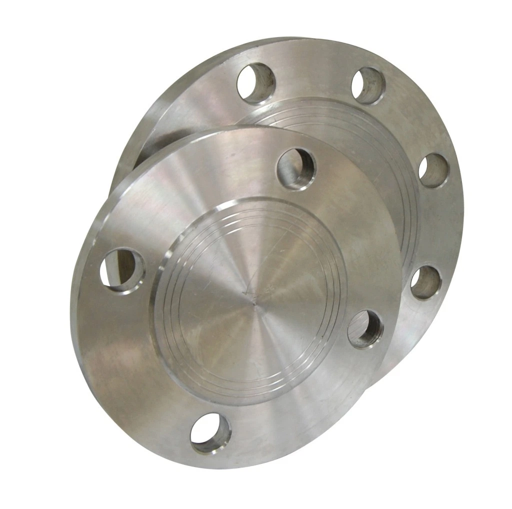 Forged Stainless Steel Flange with Raised Face and Groove