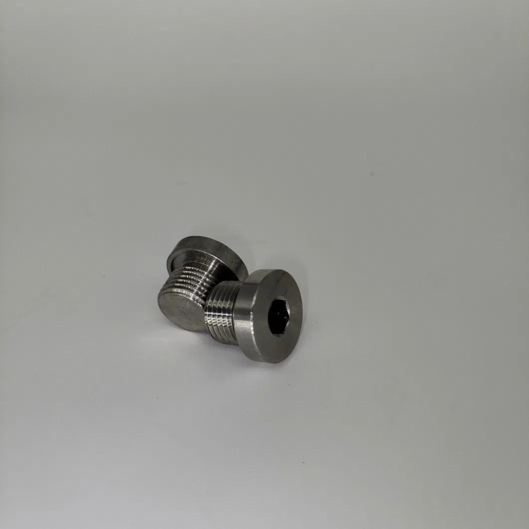 Stainless Steel Oil Plug, Hexagon Socket Plug, Automobile Hardware, Stainless Steel Solid Nut