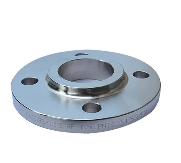 Forged Stainless Steel Flange with Raised Face and Groove