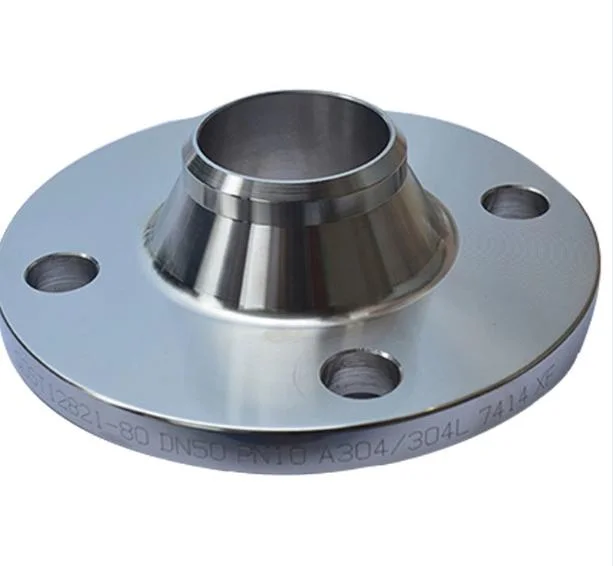 Forged Stainless Steel Flange with Raised Face and Groove