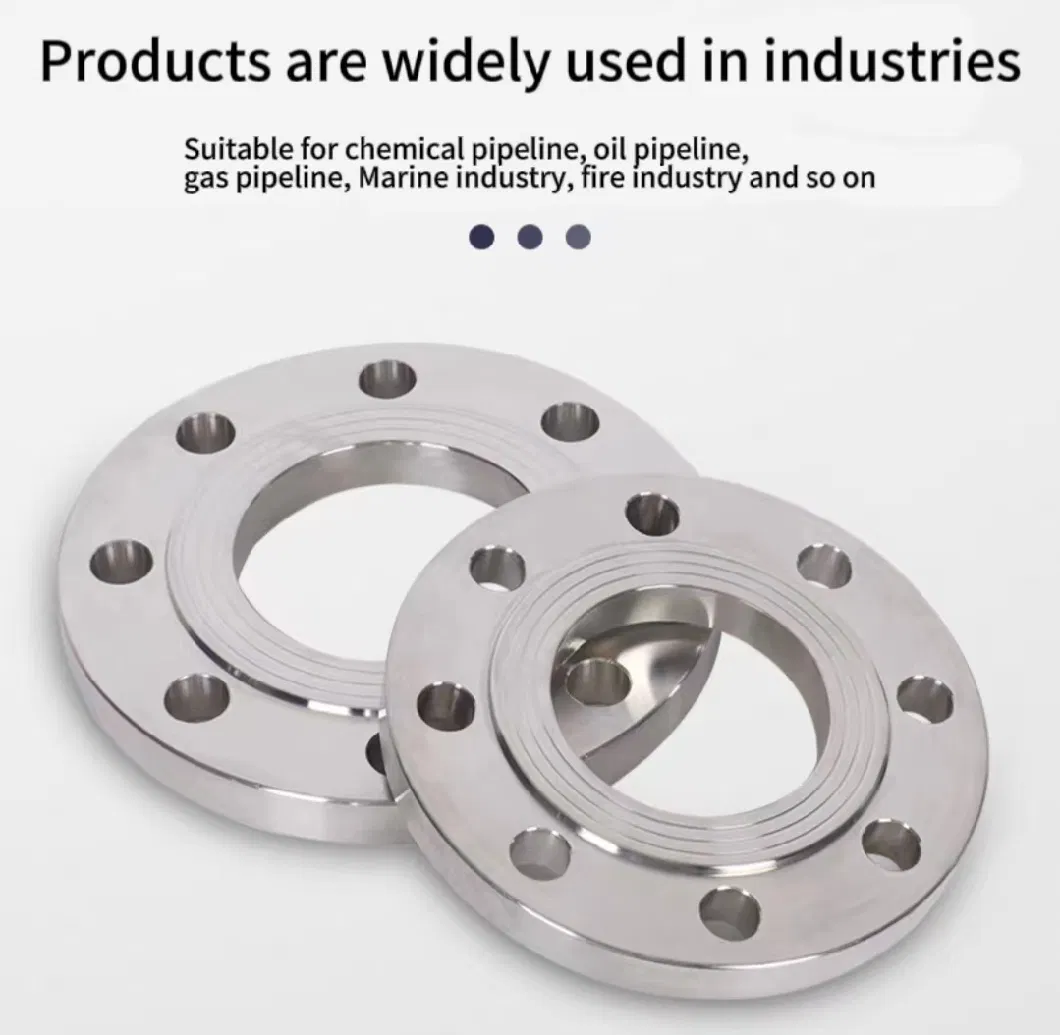 304/316L Stainless Steel Plate Flat Welded Flange