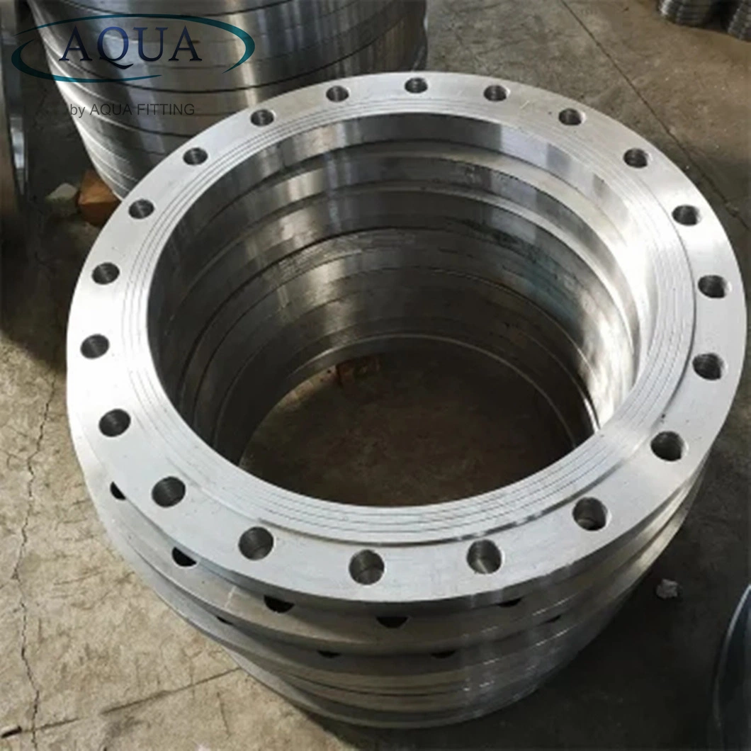 304 416 Stainless Steel Welding Neck Threaded Forged/Casting Flanges