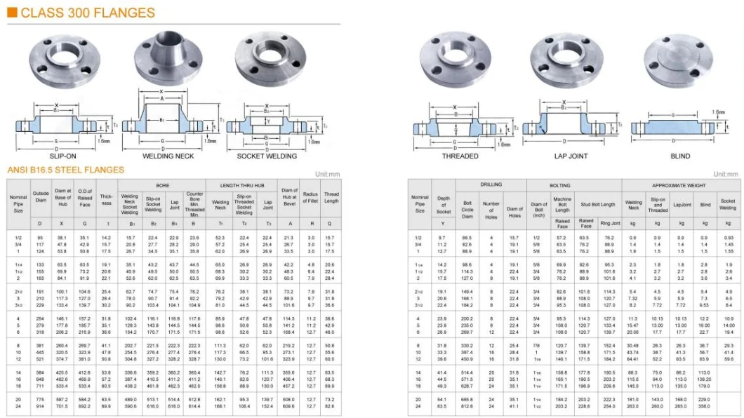 Ss Stainless or Carbon Steel Pipe Fitting Forged Flange Manufacturer