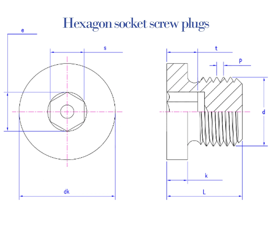 High Quality Made Custom Precision DIN 908 Hexagon Socket Head Screw Plug