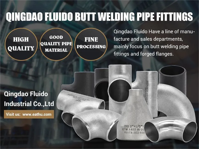 Ss Stainless or Carbon Steel Pipe Fitting Forged Flange Manufacturer