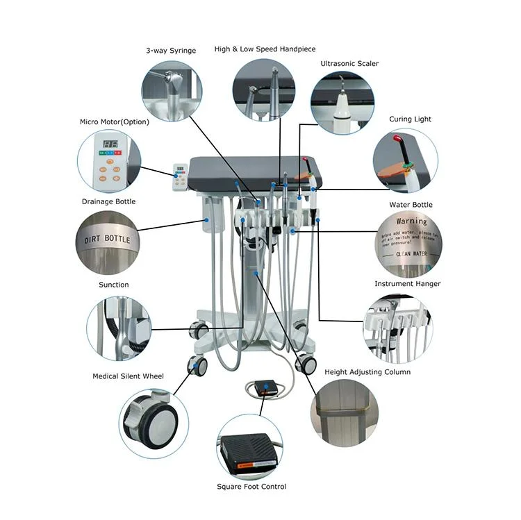 Veterinary Equipment Cheap Pet Dental Chair Unit with Air Compressor