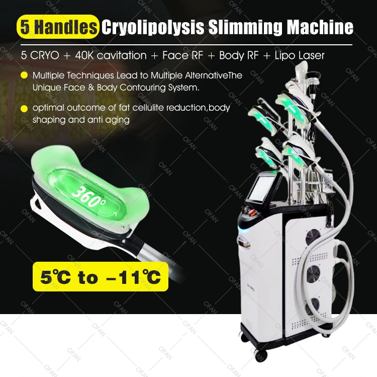 Ofan Esthetician Equipment Adelgazar Radio Frequency Kryo Kriolipoliza Tech Cool Plus Cryolipolysis Machine