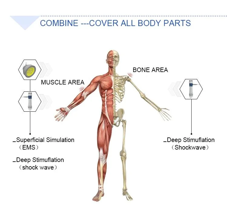 Home Use Wholesale Focused Radial Extracorporal Shock Wave Machine/Shockwave Therapy to Treat Cellulite