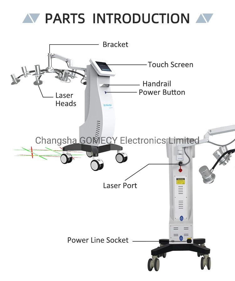 8d Lipo Laser 532nm Cold Light Therapy Body Slimming Weight Loss