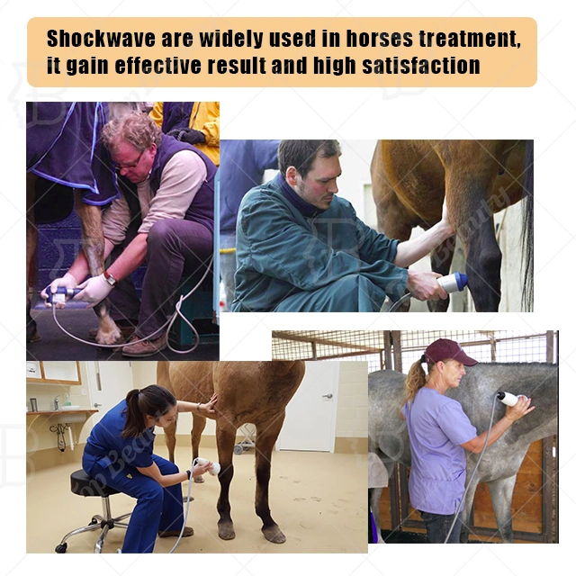 Portable Veterinary Vet Shockwave Pain Relief Shock Wave Therapy Equipment