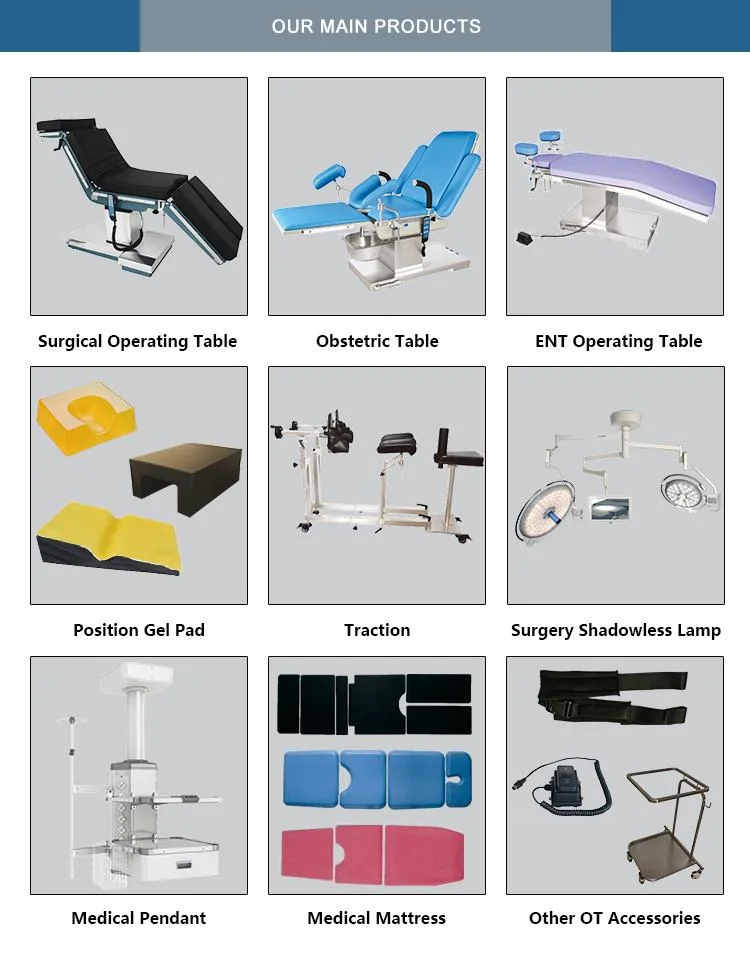 Portable Veterinary Equipment Dental Unit with Scaler Price