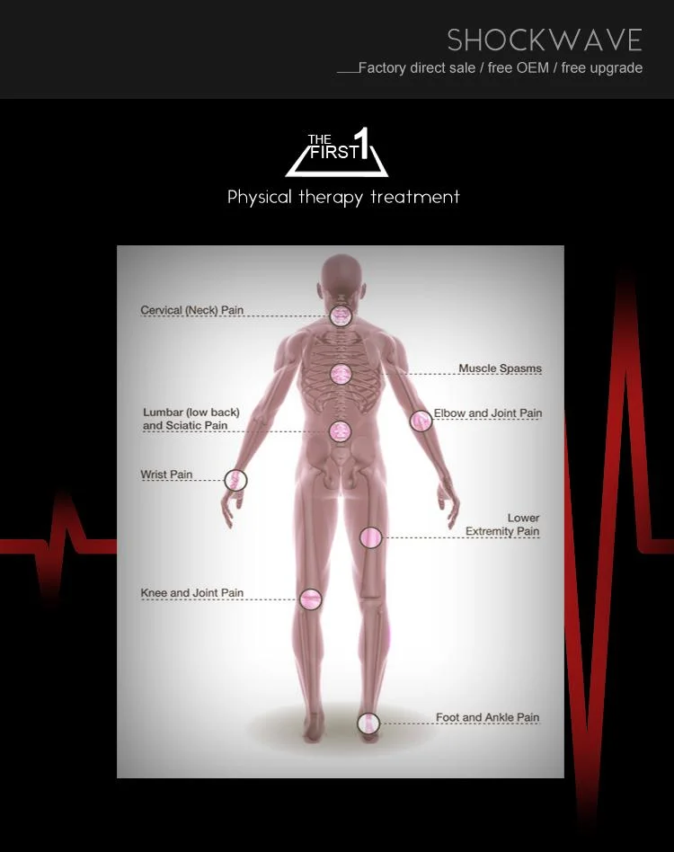 Astiland Hot Selling 6 Bar Focused Extracorporeal Shockwave Therapy Machine for ED Treatment Pneumatic Physical Therapy Devices