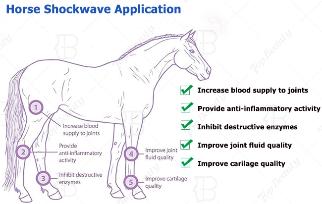 Portable Veterinary Vet Shockwave Pain Relief Shock Wave Therapy Equipment