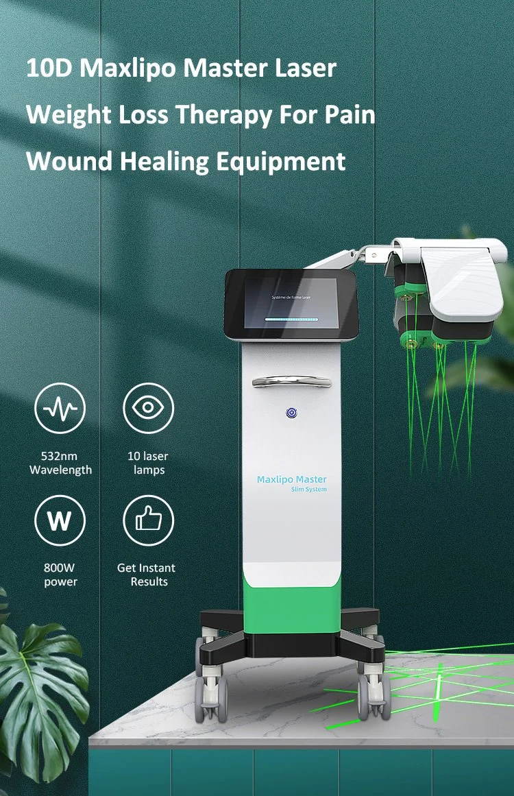 2023 New Arrival 532nm Cold Diode Laser for Fat Loss 10 Green Laser Therapy 6D 10d Painless Slim Machine