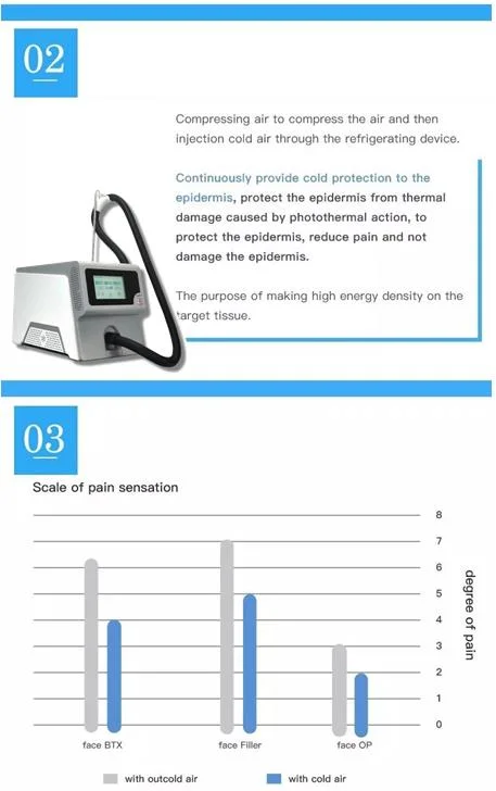 Portable Small Size -20c -25c -35c Cryotherapy Refrigerator for Pain Relief Cold Air Skin Cooling Machine for IPL Picosecond Diode Laser CO2 Laser Treatment