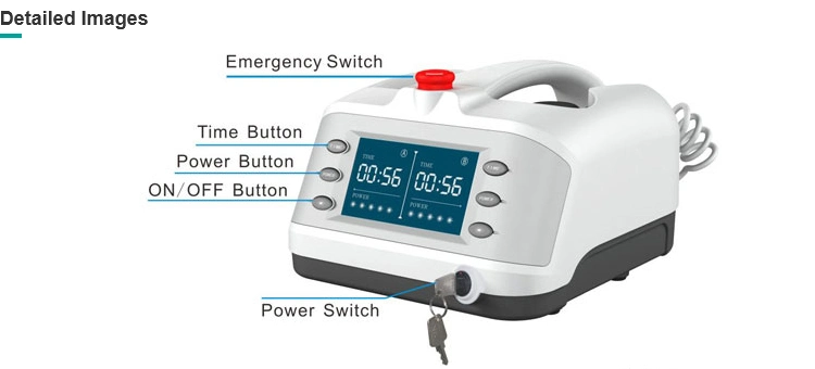Hot Sell Long Pulse Gaaias Semiconductor Laser Pain Relief Therapy Instrument
