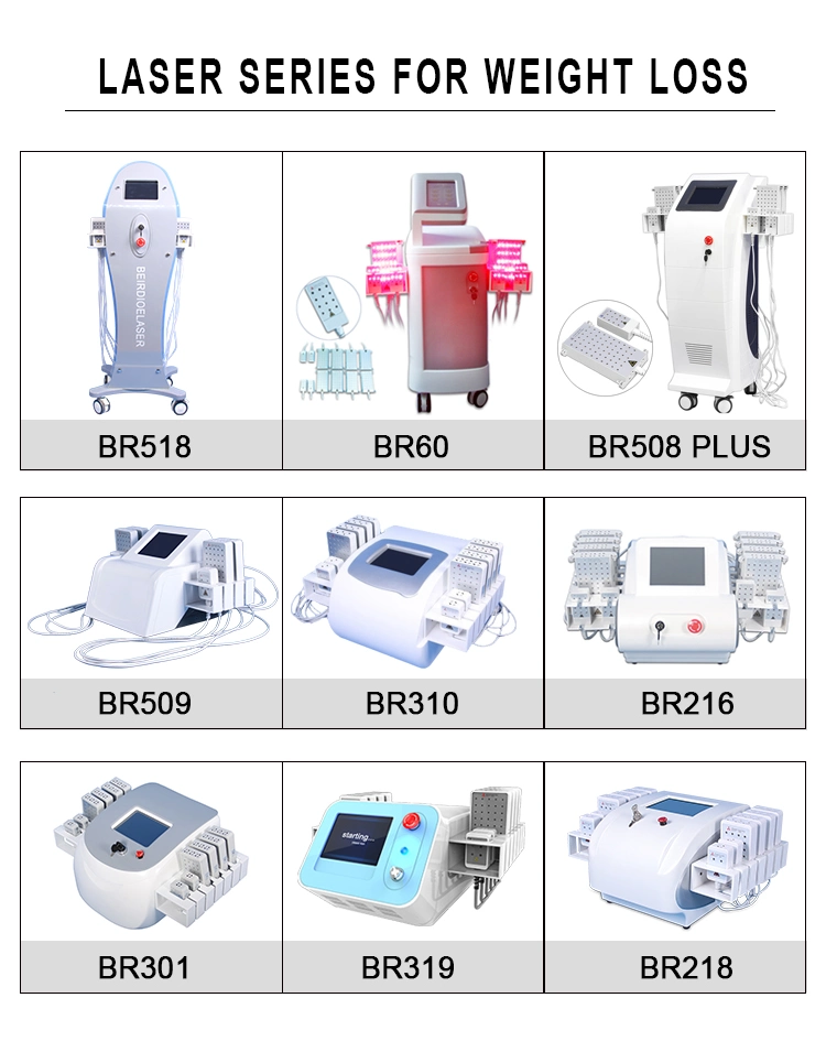 Good Effect Diode Laser Lipo Laser Lipolysis Beauty Machine 12 Paddles Laser Machine