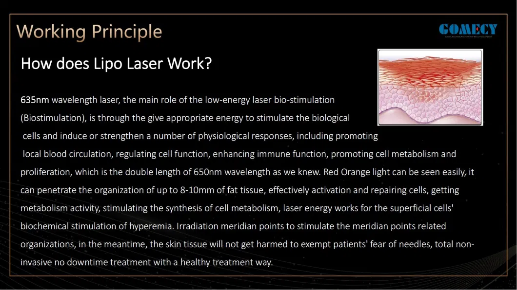 6D Laser 6wavelengths Lipo Slim Cold Laser 635nm Red Light Therapy