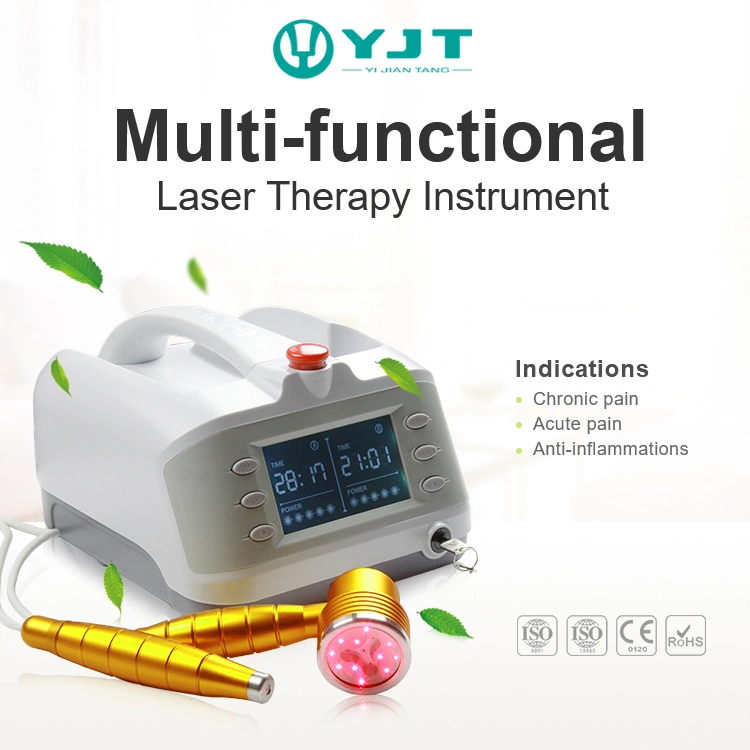 Cold Laser Physical Therapy Instrument with 2 Probes for Neuropathic Pain, Rheumatic Pain, Inflammation